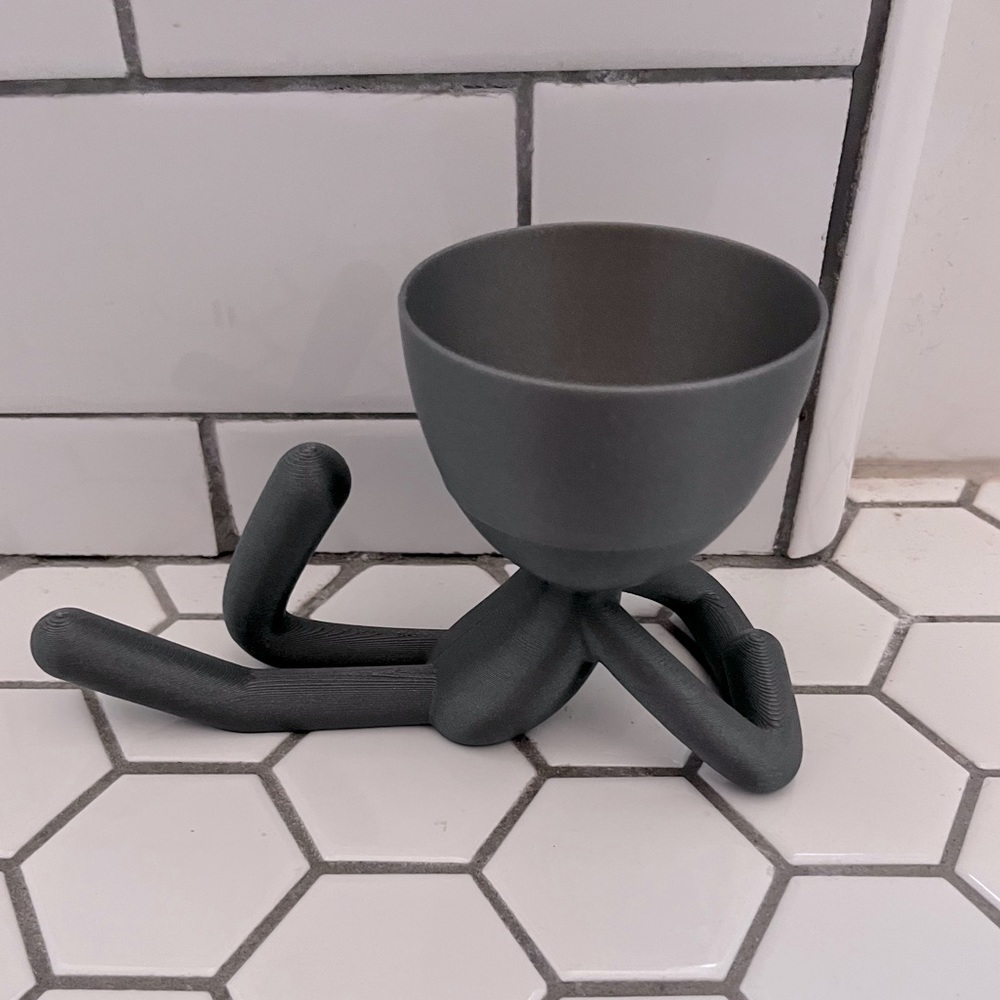 Casa Z  Mini Bob air plant holder